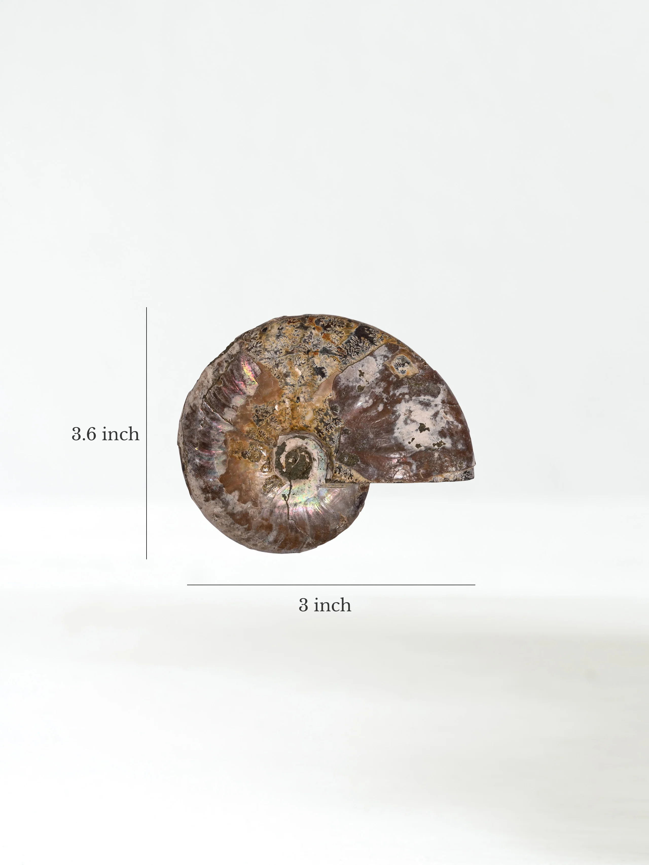 Product image 29