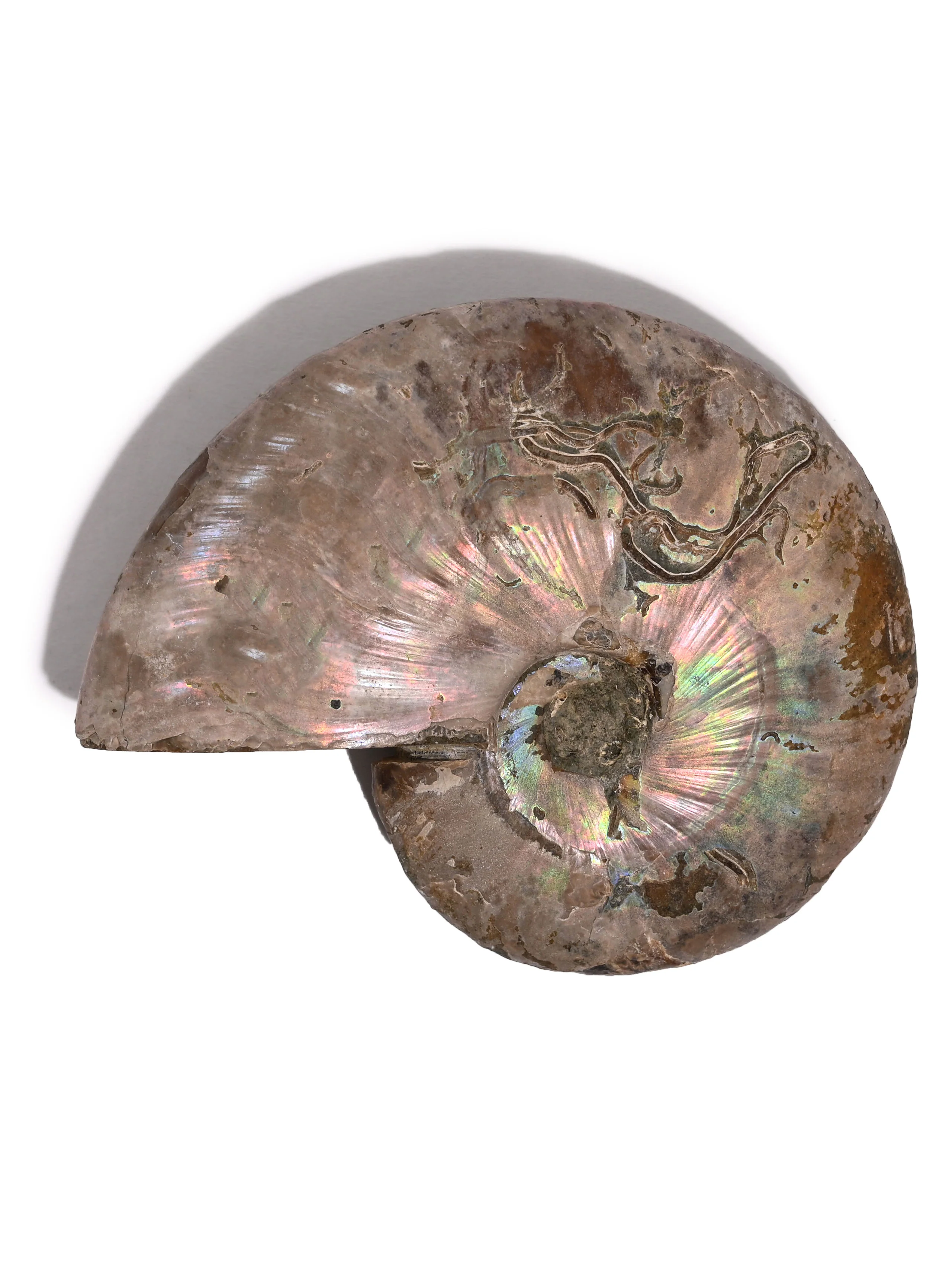 Product image 31