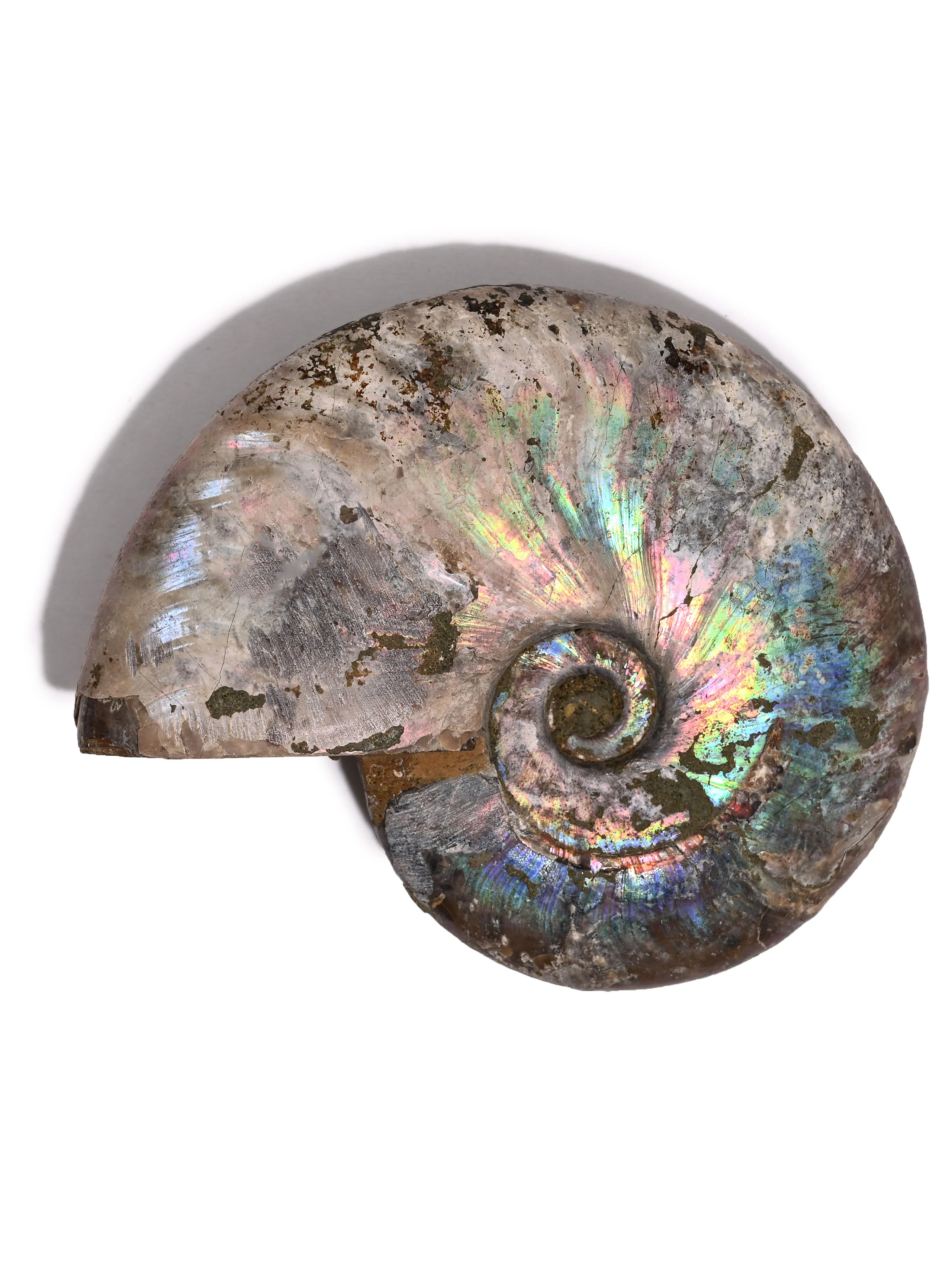 Product image 34