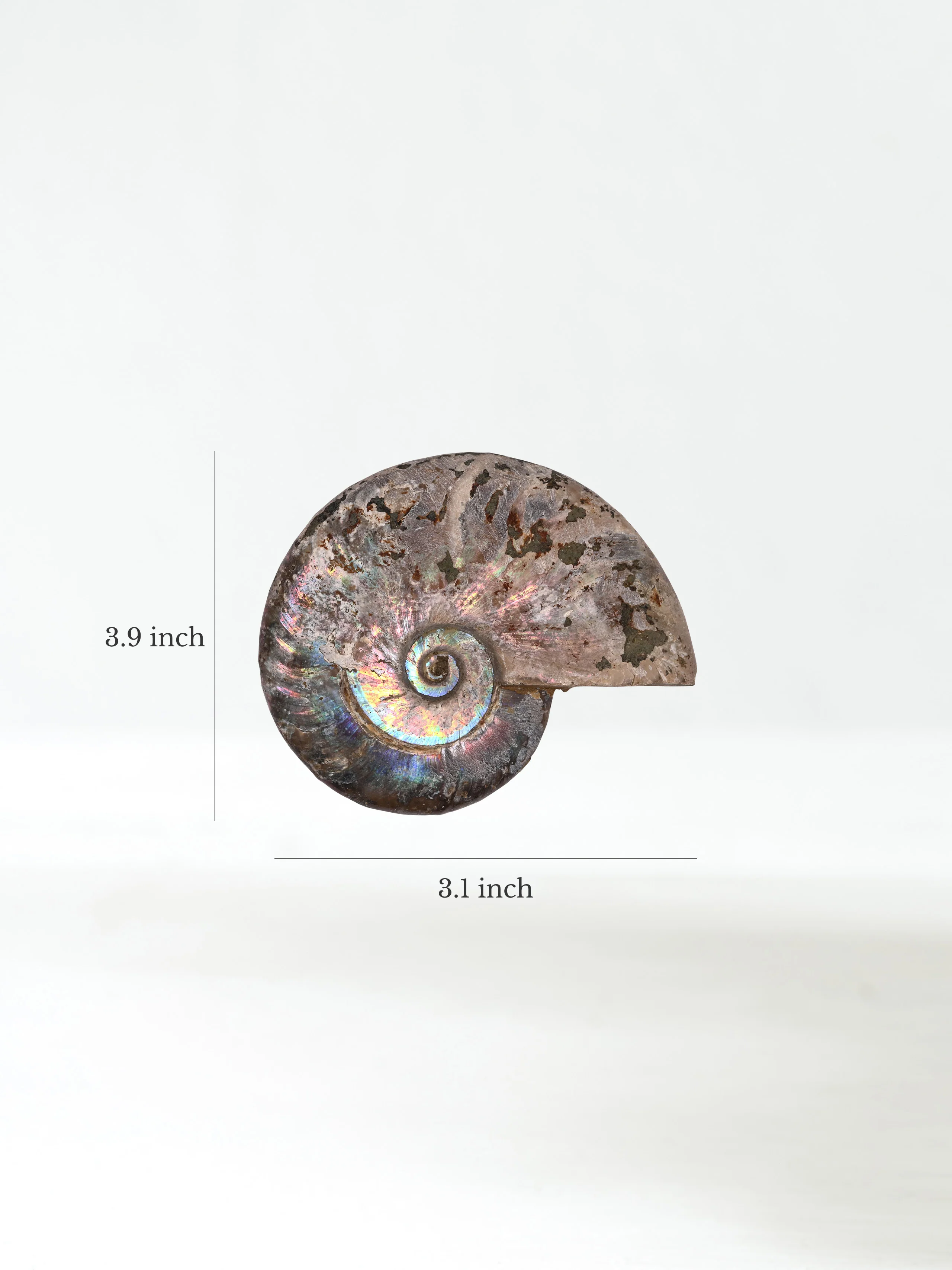 Product image 35