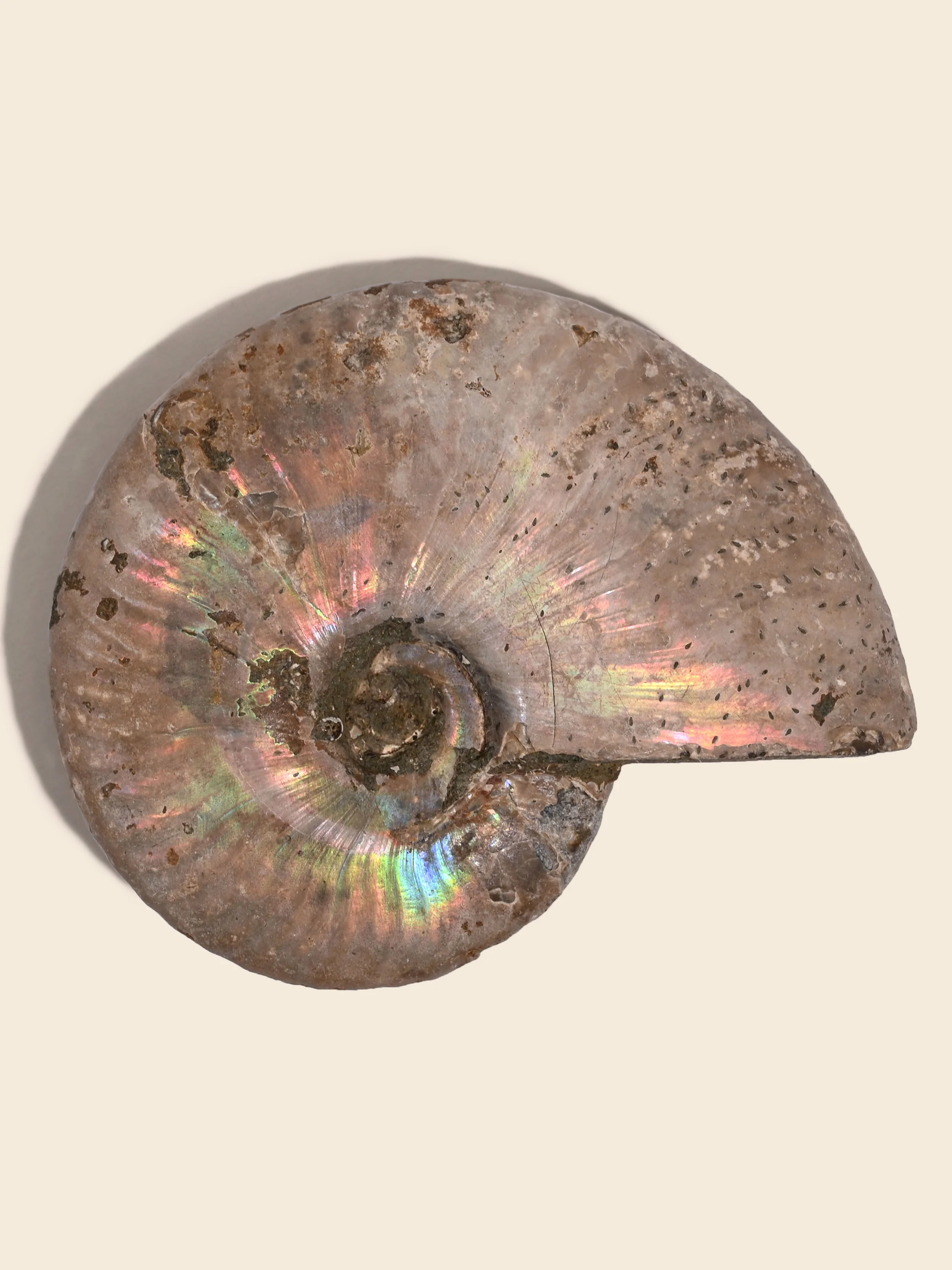 Product image 39