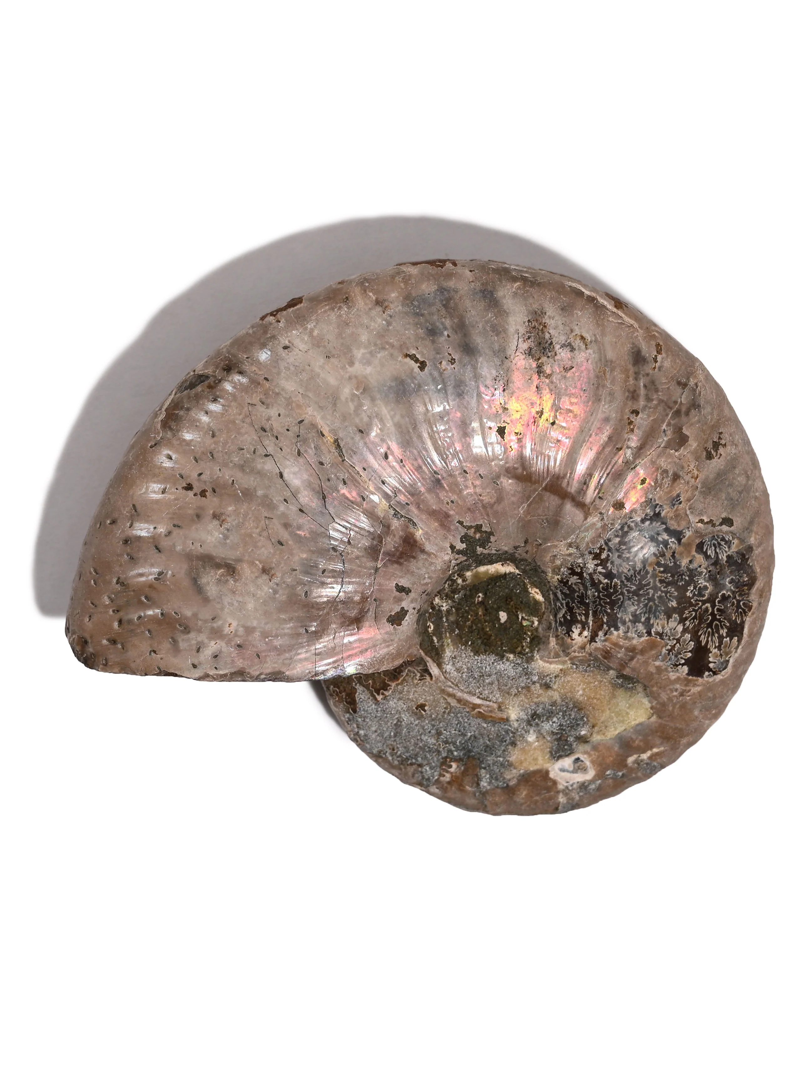 Product image 40